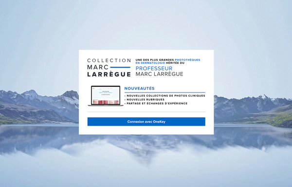 Collection Marc Larrègue